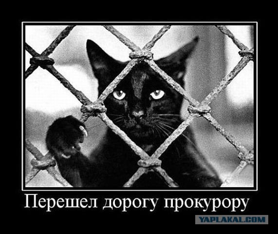 Весёлое из сети