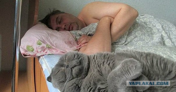 Картинок из сети немножко
