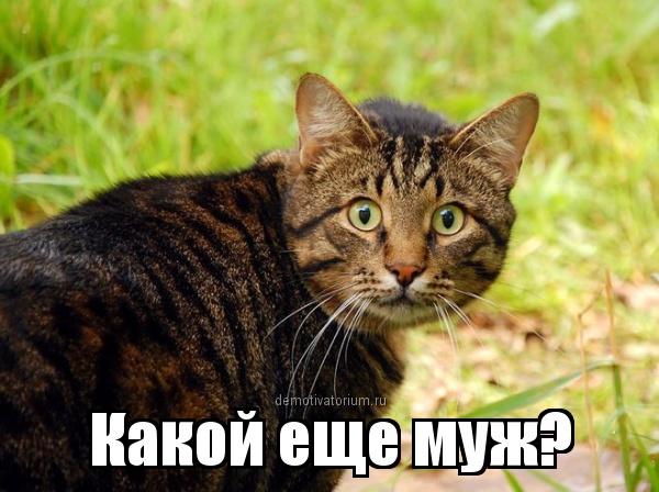 Смешные комментарии 26.07.2015