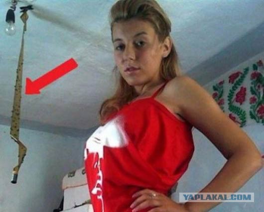 Прикольные картинки для вас!