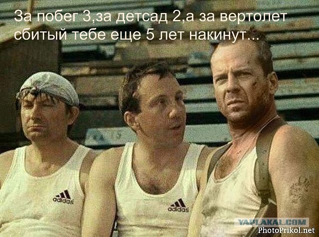 Весёлые картинки