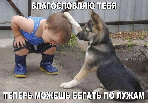 Немного картинок на вторник