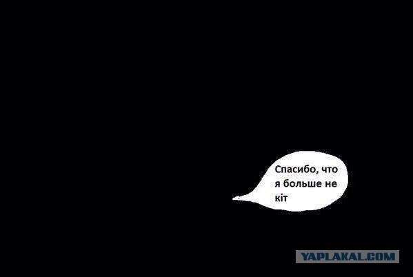 В Херсонской обл. произошли столкновения