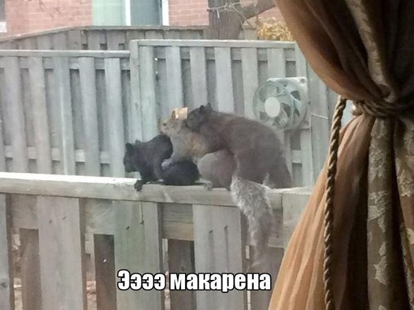 Разные картинки