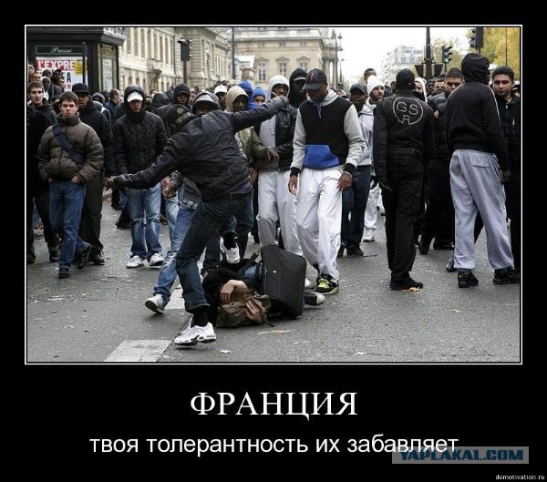 Темнокожие мигранты грабят девушку в ЕС