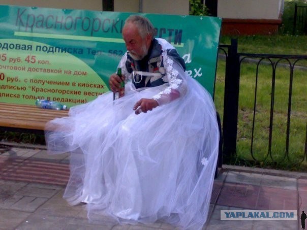 Прикольные картинки