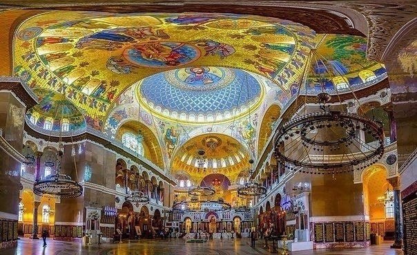 Интересные и веселые картинки