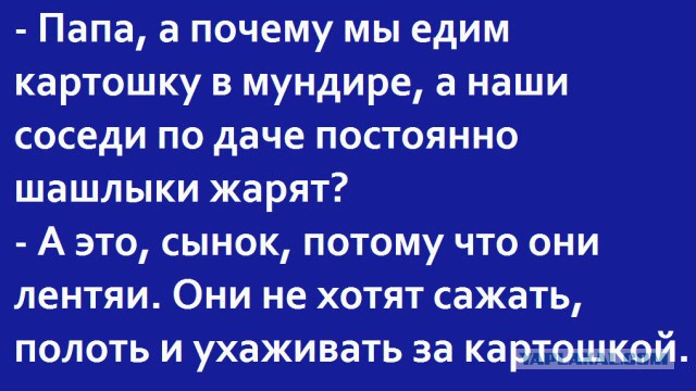 Картинки и приколы из сети, для поднятия настроения=)