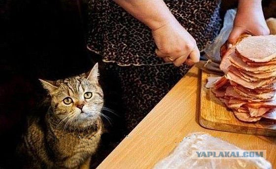 Коротко о ситуации в стране