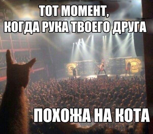 Картинки с букофками