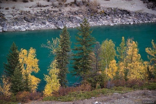 Моменты, запечатлённые на фото и просто позитив 5