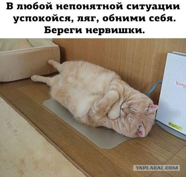 Всякое разное из сети