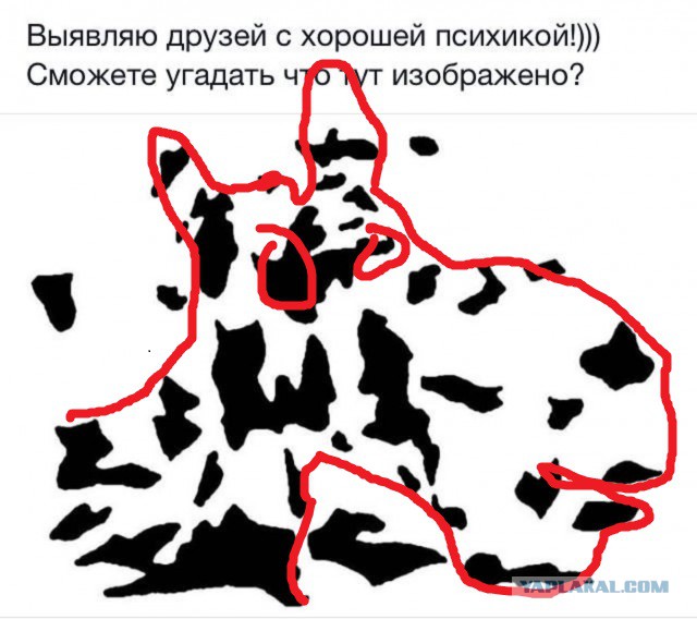 Голову сломал уже