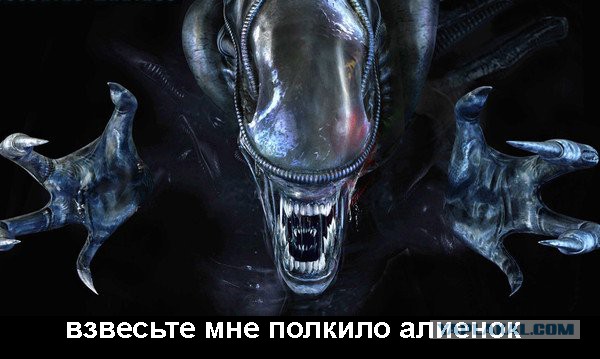 Alienka
