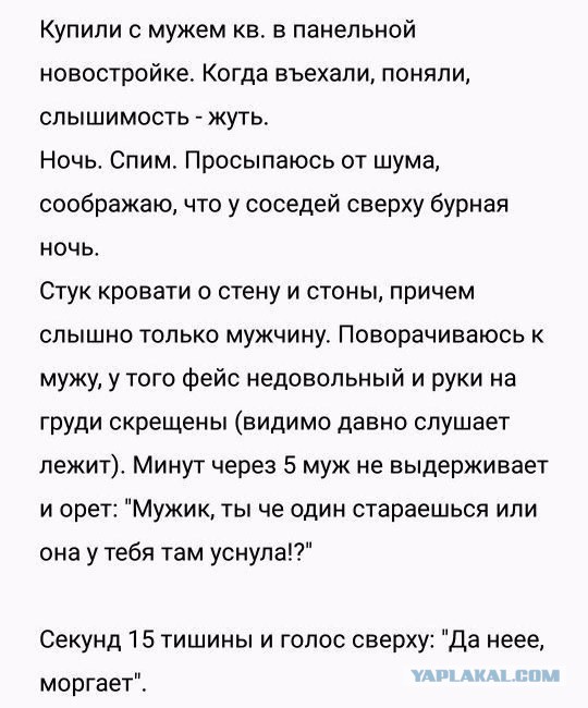 Веселые картинки! Деградиреум,  или просто веселимся?