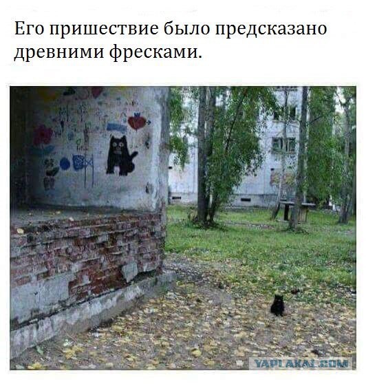 Подборка интересных и веселых картинок