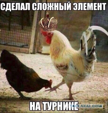 "Слегка" чёрный и абсурдный юморок