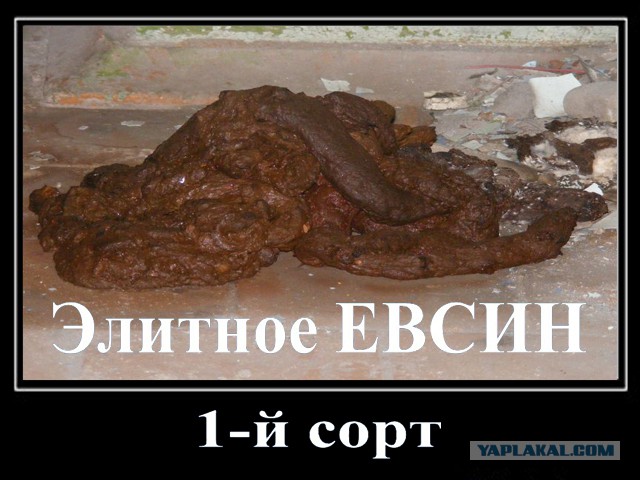 ЦОДД наехал на ЯП