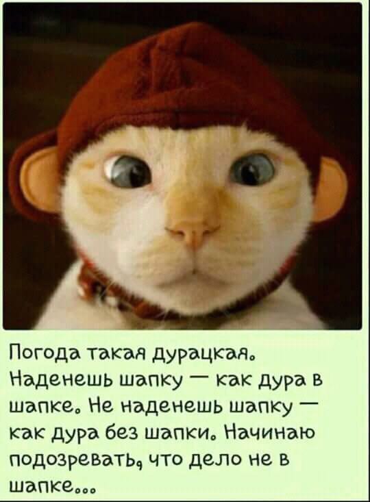 Гомеопатическая доза мерехлюндии