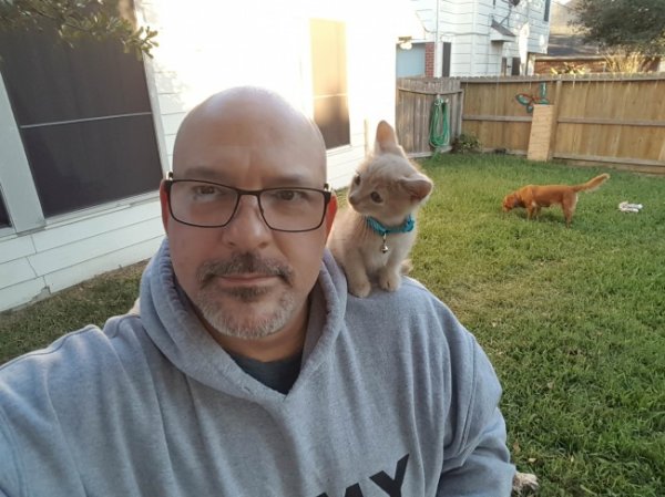 30 снимков, которые помогут улыбнуться даже в самый ненастный день