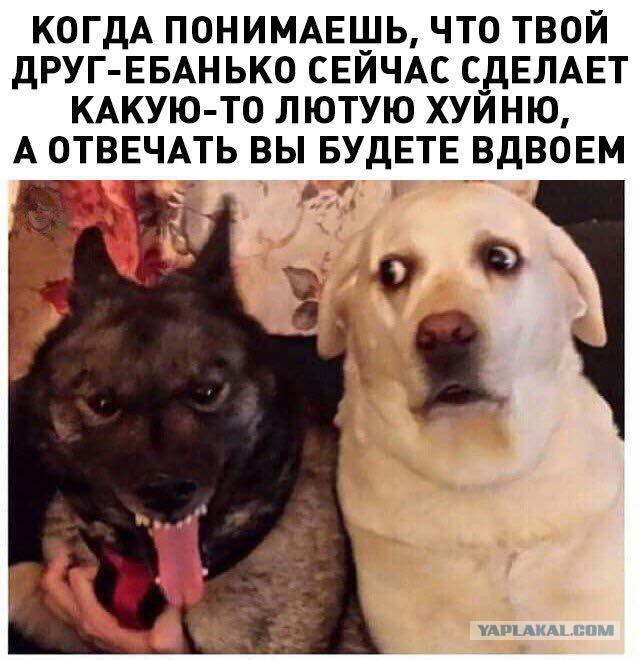 Картинки разные