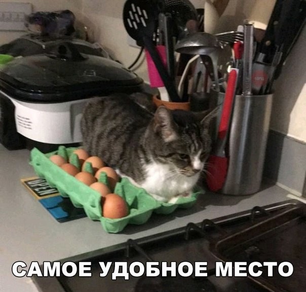 Нестандартный юмор