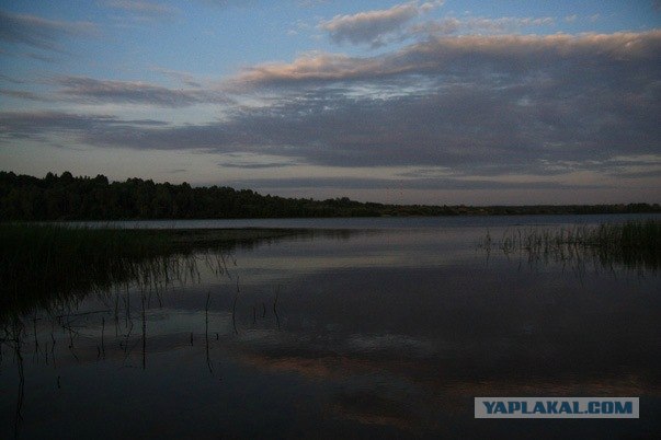 Проходимцы Веппского леса