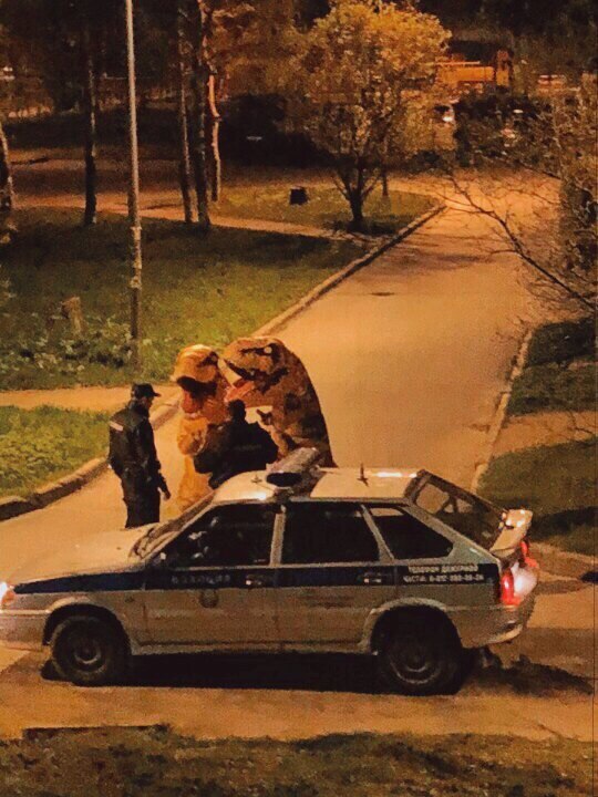Чудики из социальных сетей