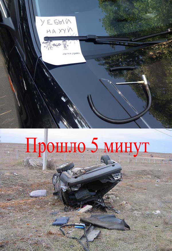 He тpoгaй нaши кaчeльки (3 фото)