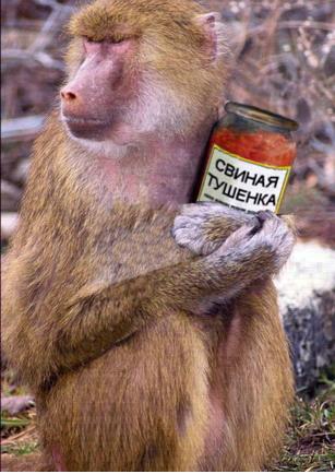 Фотокомикс: А куда ушла жена?