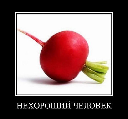 Специфический юмор