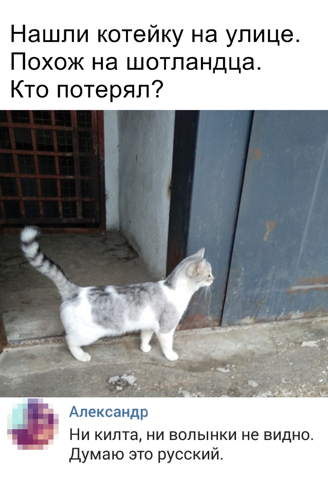 Немного милоты