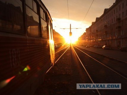 любительская фотография