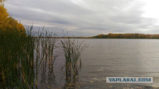 Соскучился по рыбалке