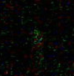 Необъяснимые явления