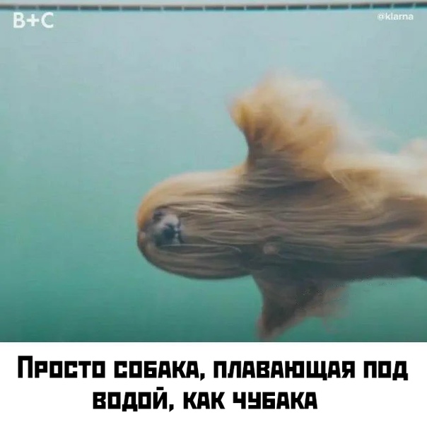 Немного картинок для настроения 10.12.19