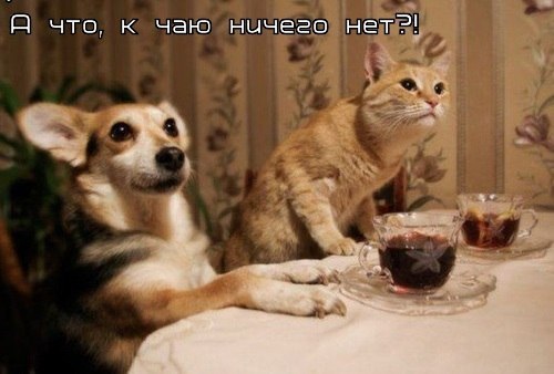 Чуток картинок 25.04.20