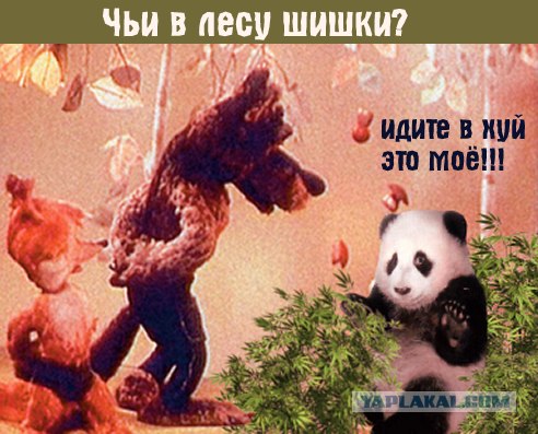 Фотожаба: Панда спалился!
