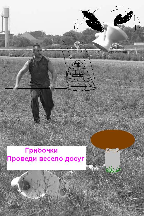 Фотожаба: Мужик и унитазы
