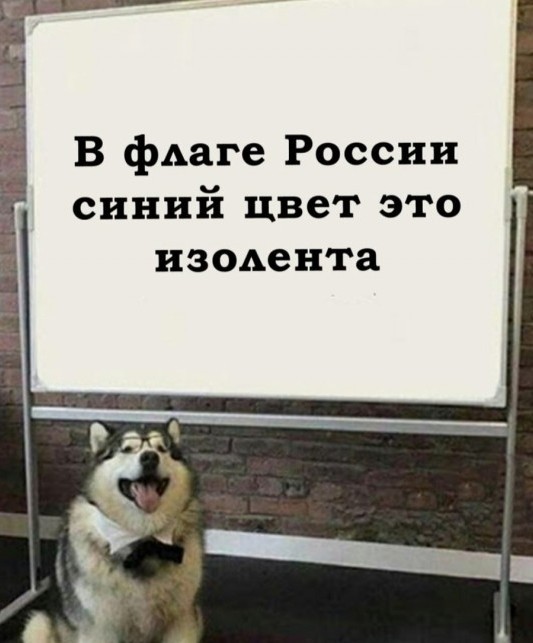 Флаг России: о чем забыли рассказать в школе