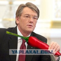 Игра: Ассоциации на ник пользователей ЯПлакалъ