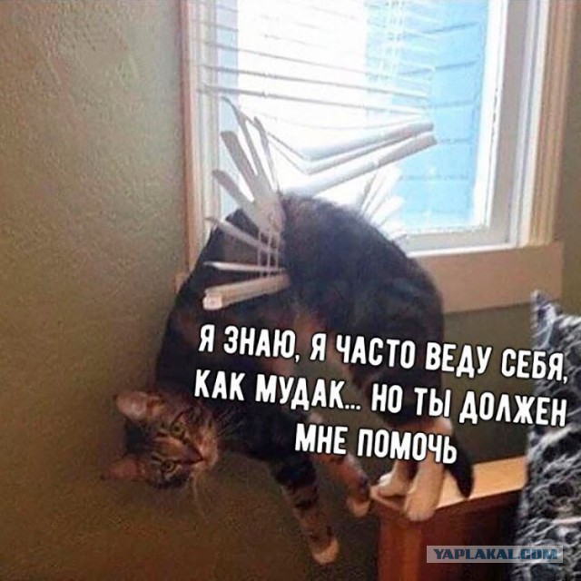 Бредзона 03.11.2020