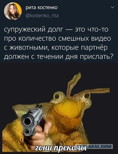 Бредзона 22.11.20