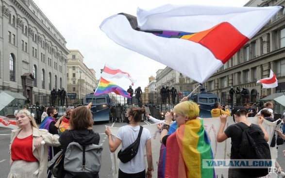 Житель Минска заявил в милицию на собственных детей из-за бело-красно-белых штор.