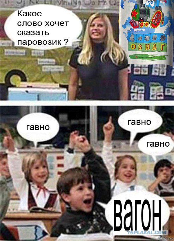 На уроке биологии