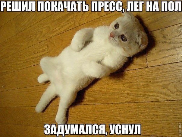 Юмор и прикольные картинки 14.05.2021