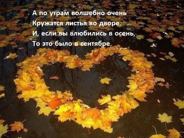 Так себе картинки 28.09.21