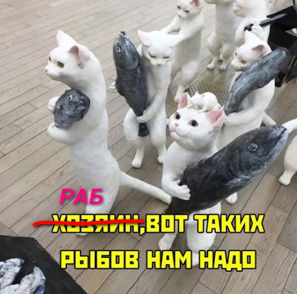 Прикольные и просто красивые картинки 12.10.2021
