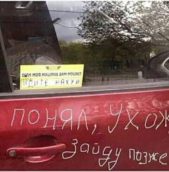Так себе картинки 20.11.21