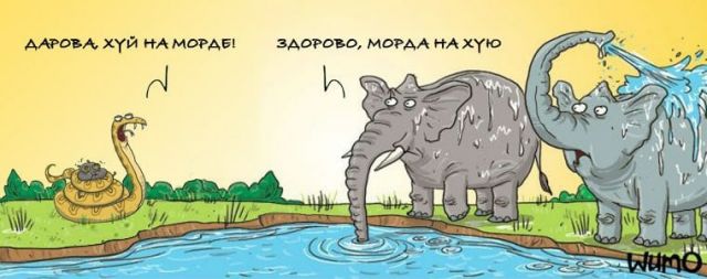 Картинки и буквы 11.03.22